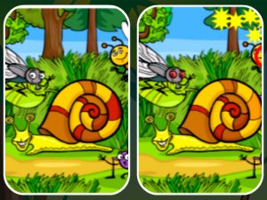 Insects Photo Differences Puzzle Game