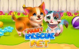 Funny Rescue Pet: Emergency Makeover