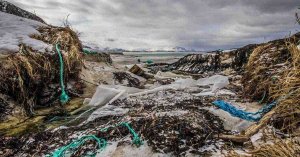 Global Push Against Single-Use Plastics Gains Momentum