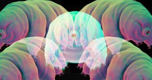 Tardigrade Qubit Experiment Stirs Quantum Entanglement Debate