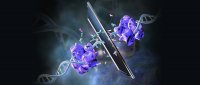 Chinese Researchers Craft Mirror-Image Polymerase, Paving Way for Synthetic Life