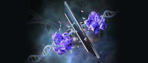 Chinese Researchers Craft Mirror-Image Polymerase, Paving Way for Synthetic Life