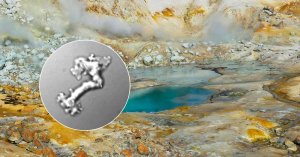 Heat-Tolerant Microbe Found in California Hot Springs Sets New Eukaryote Record